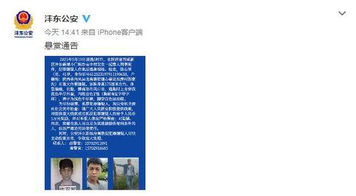 陕西新城区爆料案件最新